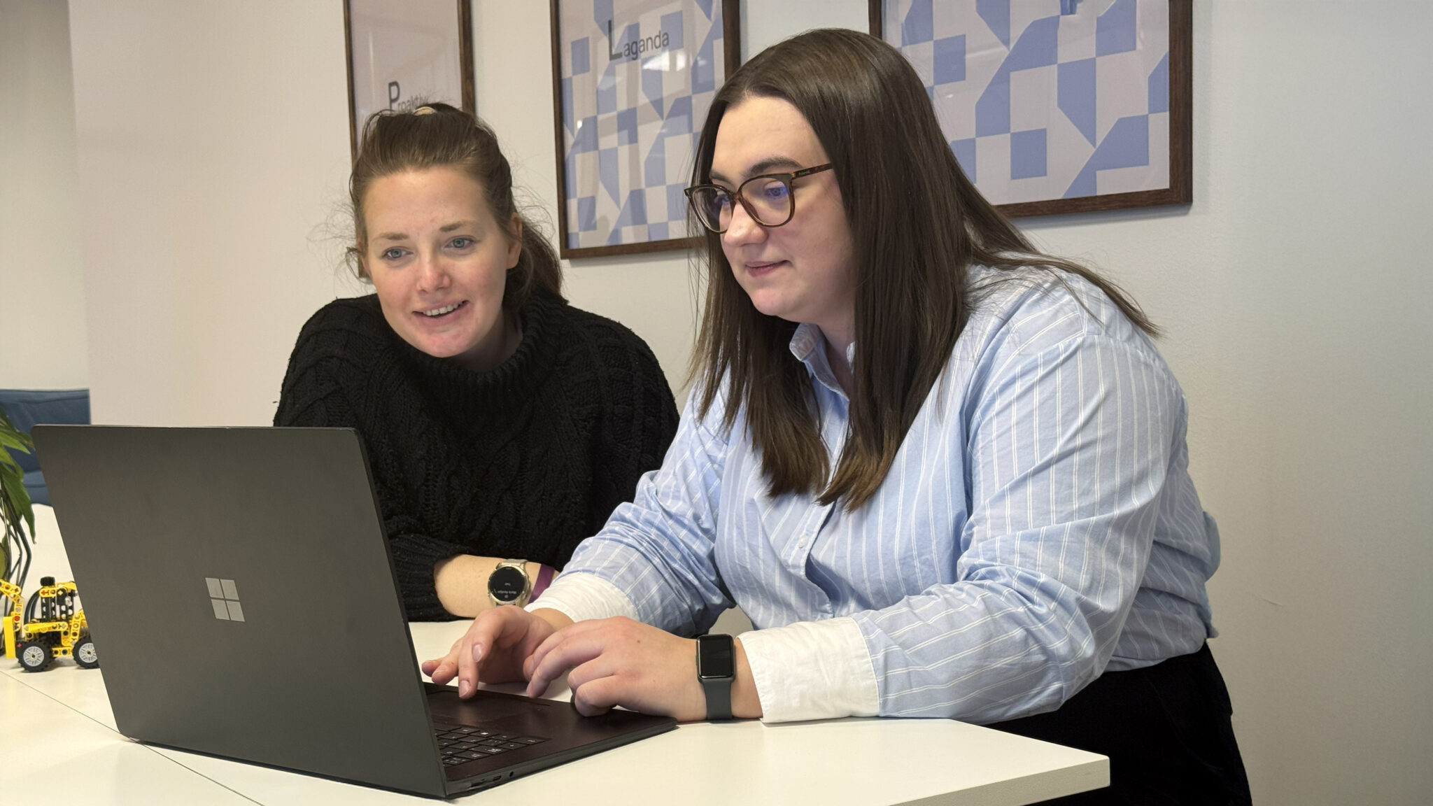 Så arbetar Cedoc-användarna med maskinsäkerhet, Customer Success, Cedoc